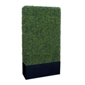 Noir Tall Boxwood Hedge Wall